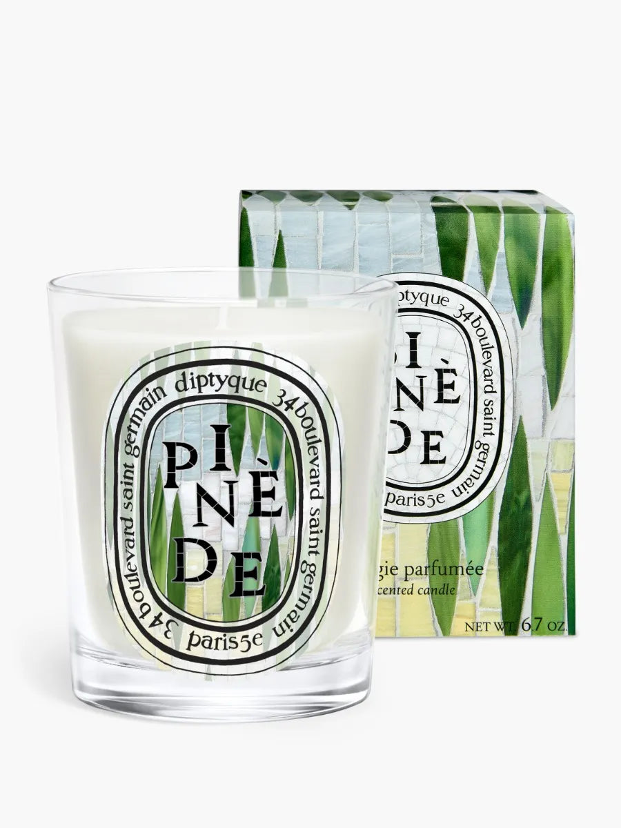 diptyque キャンドル PINÈDE 190g 箱付き　ピネード Pinède (Pine Grove) - Classic Candle – Diptyque