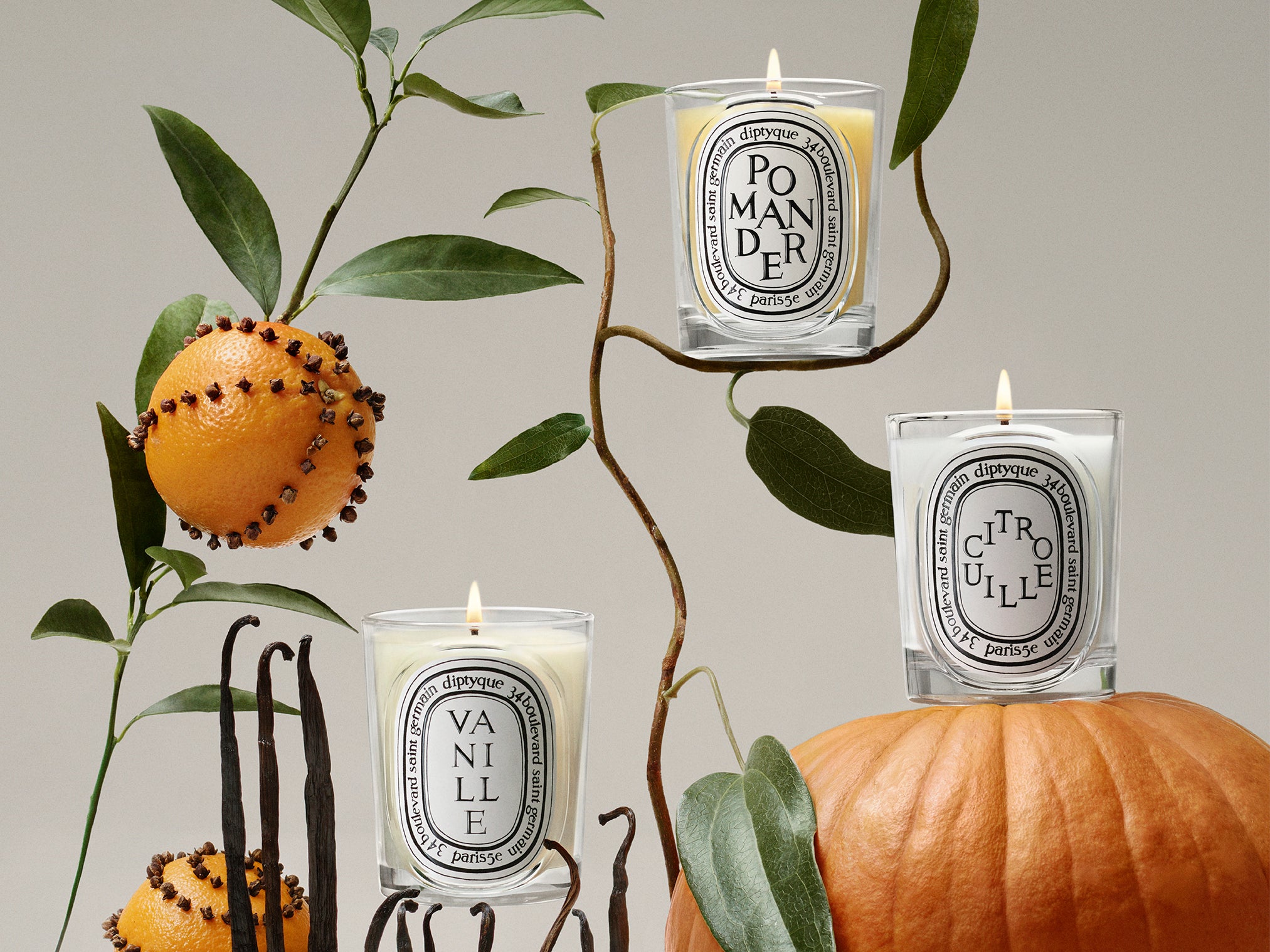Mimosa - Classic Candle – Diptyque Mimosa - Classic Candle – Diptyque