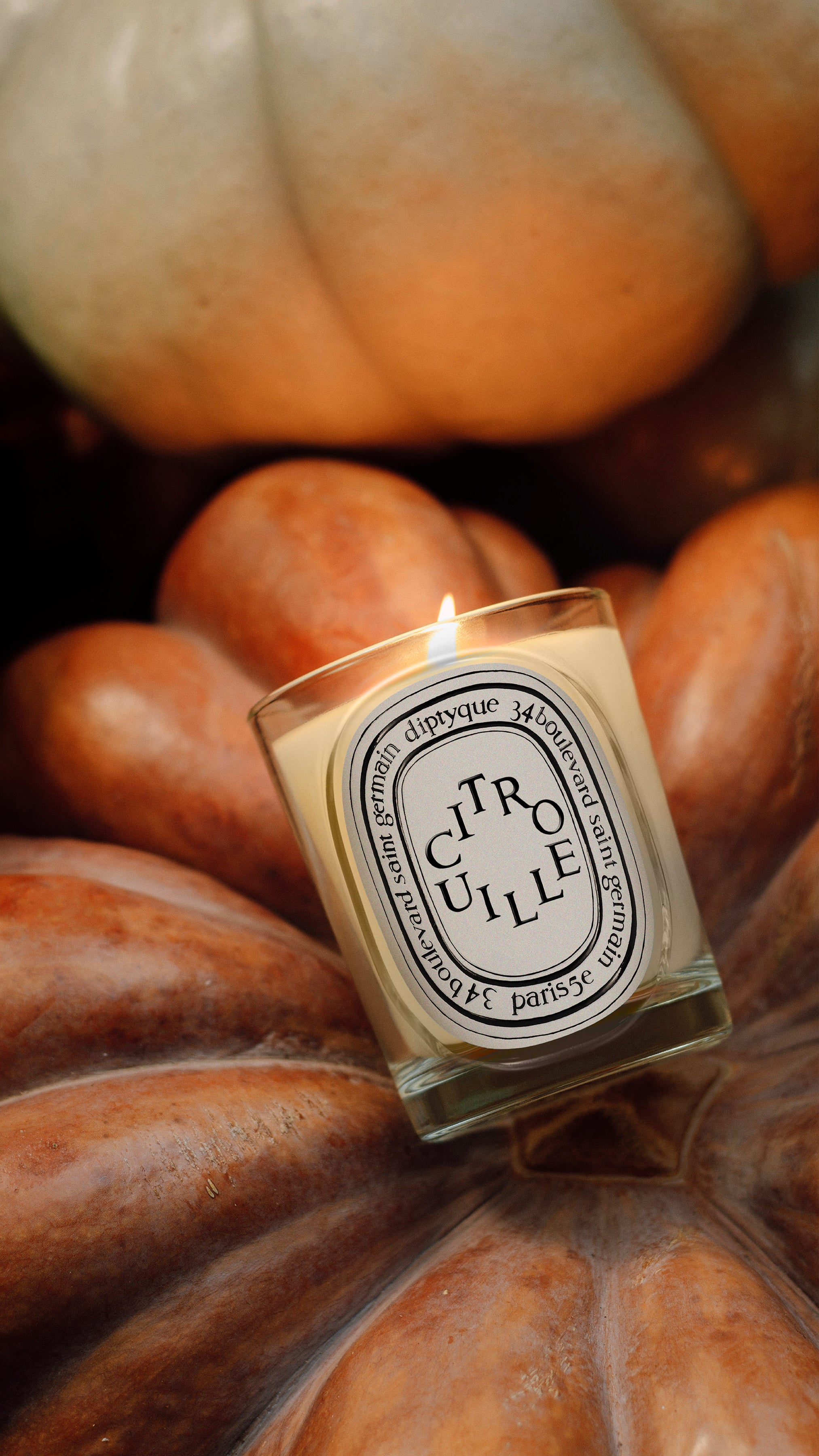 Citrouille (Pumpkin) Classic Candle | Diptyque
