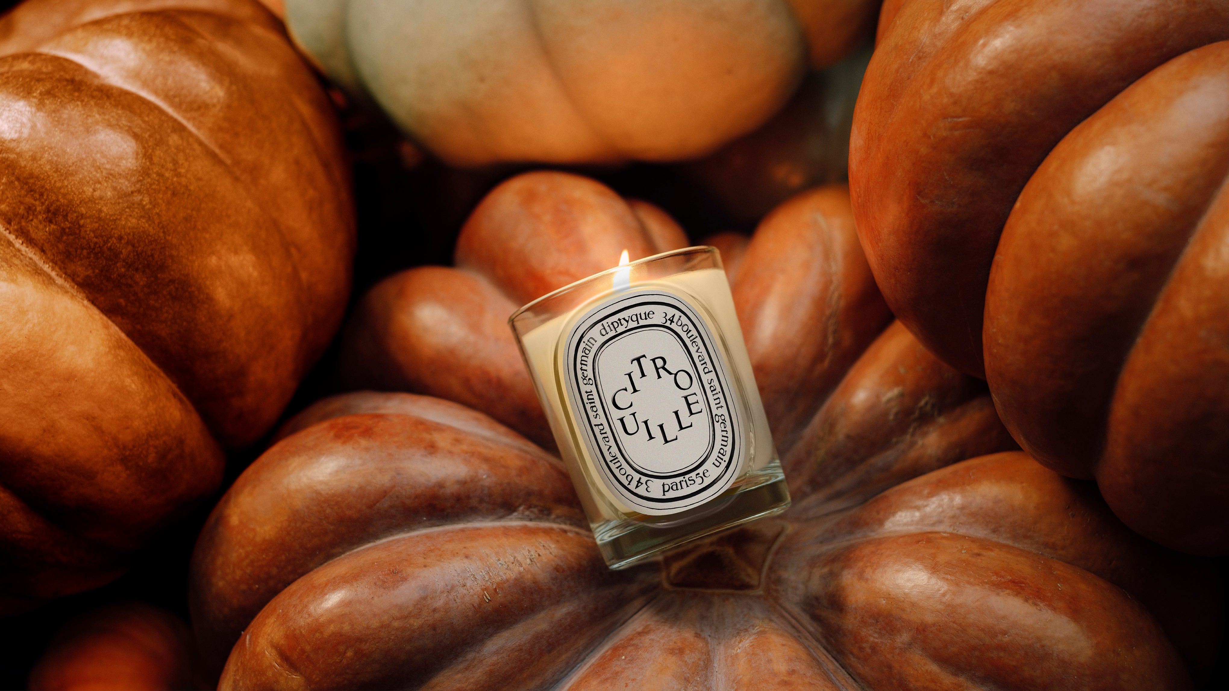 Diptyque Classic Candles | Luxury Scented Candles