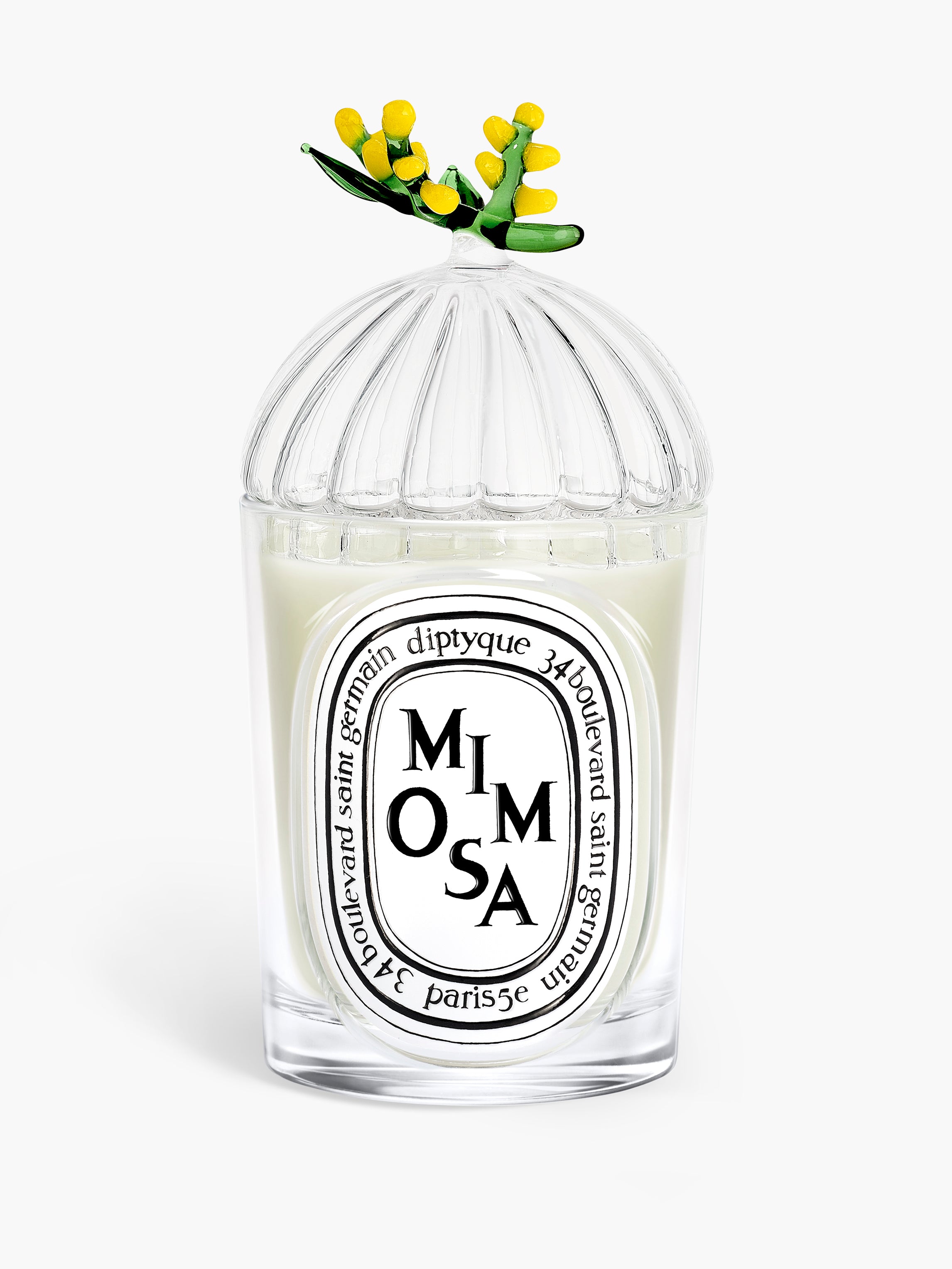 Mimosa Collection – Diptyque