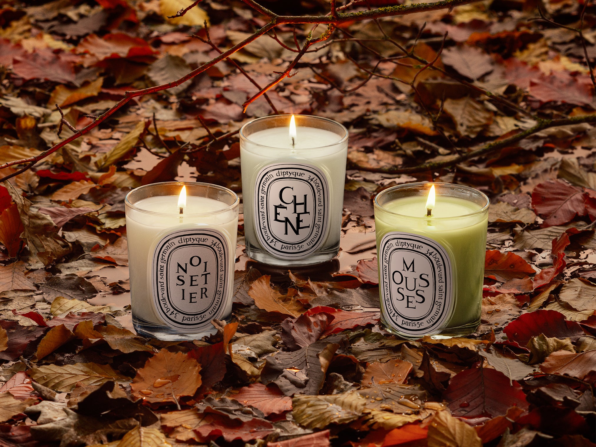 34 boulevard Saint Germain - Medium Candle – Diptyque