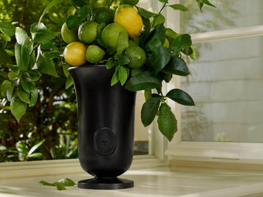 The iconic Medicis Vase