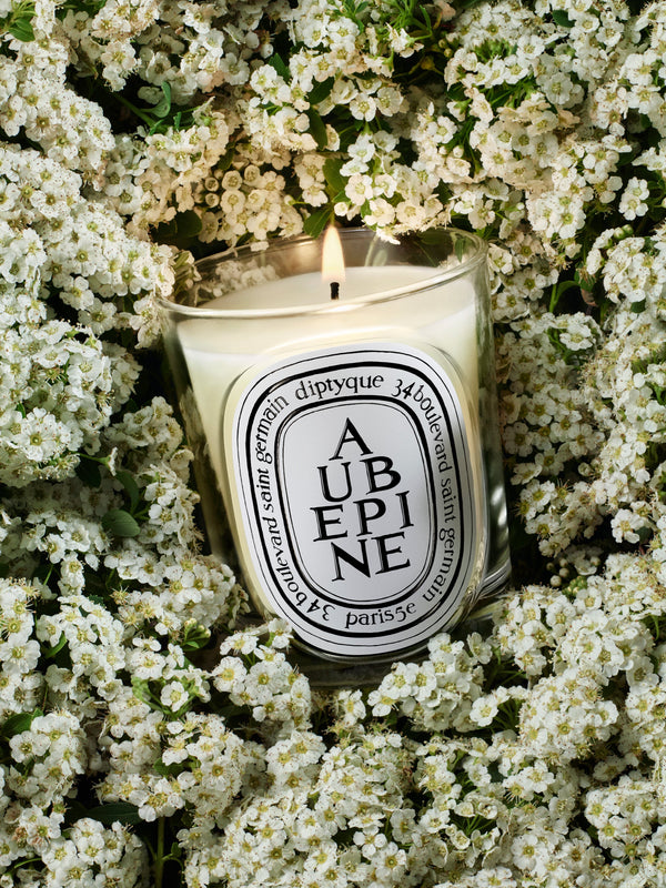 Aubépine (Hawthorn) - Classic Candle