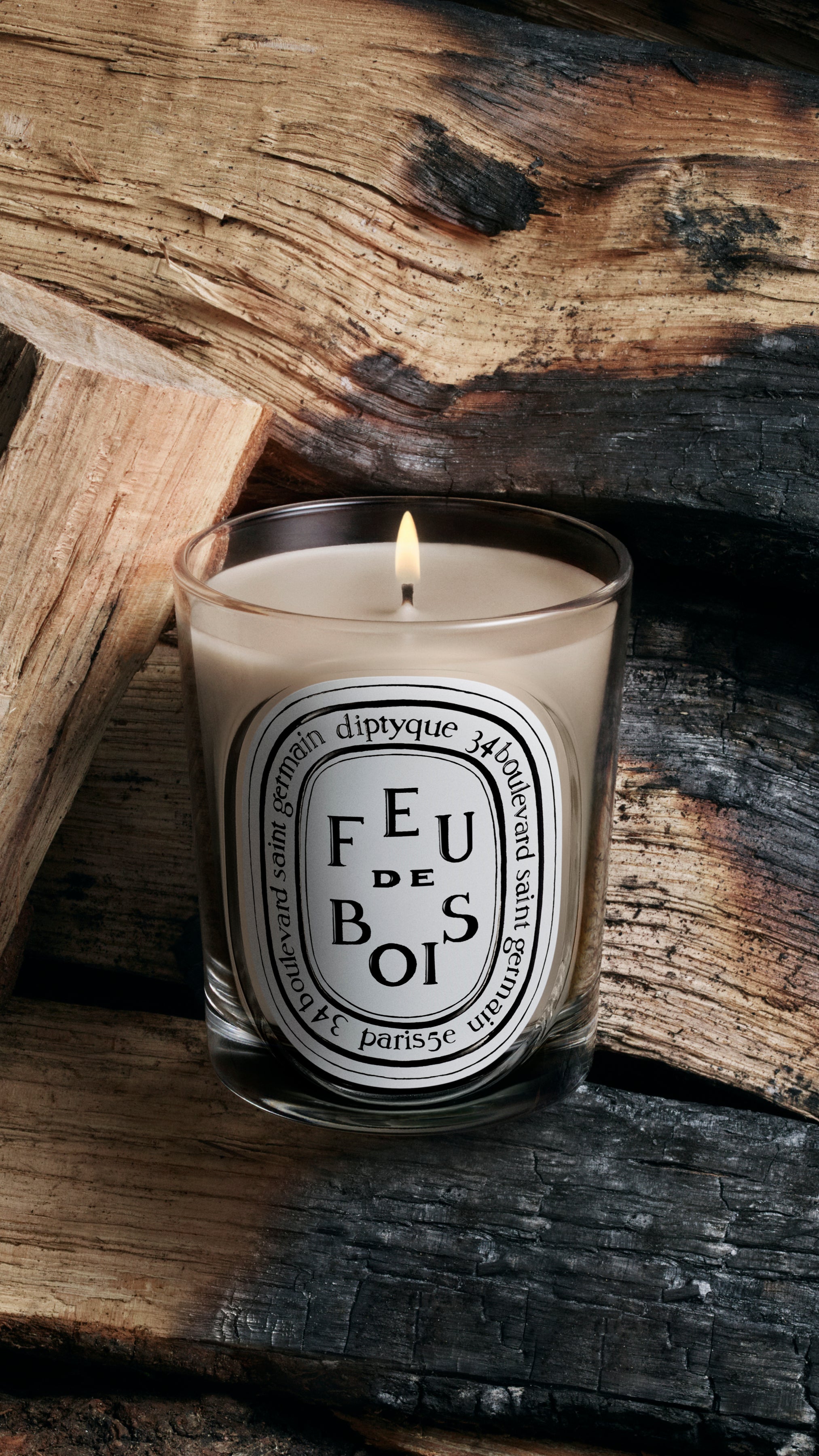 Feu de bois (Wood Fire) - Taper candle – Diptyque