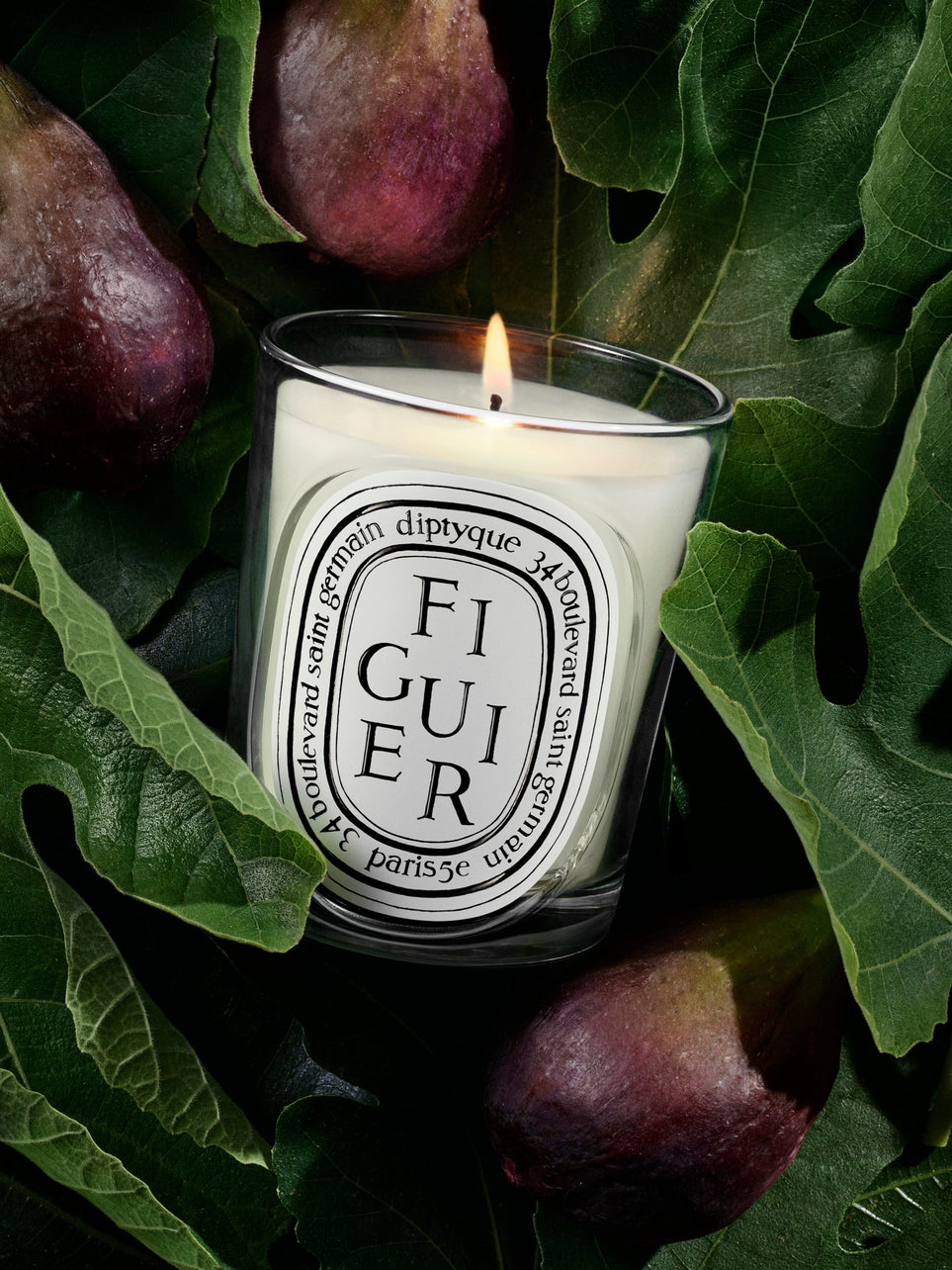 Figuier (Fig Tree) - Refill for classic candles