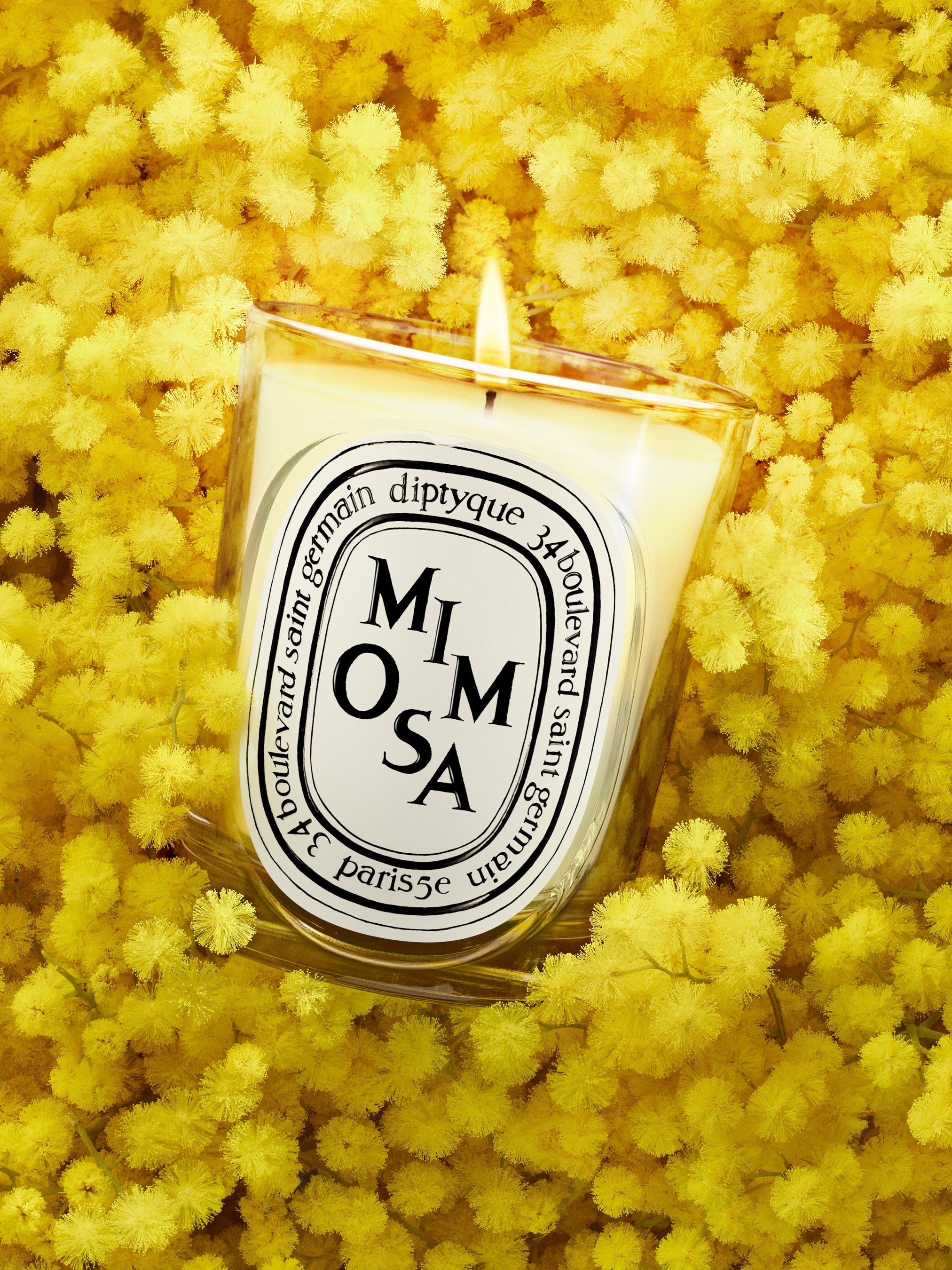 Mimosa - Classic Candle – Diptyque