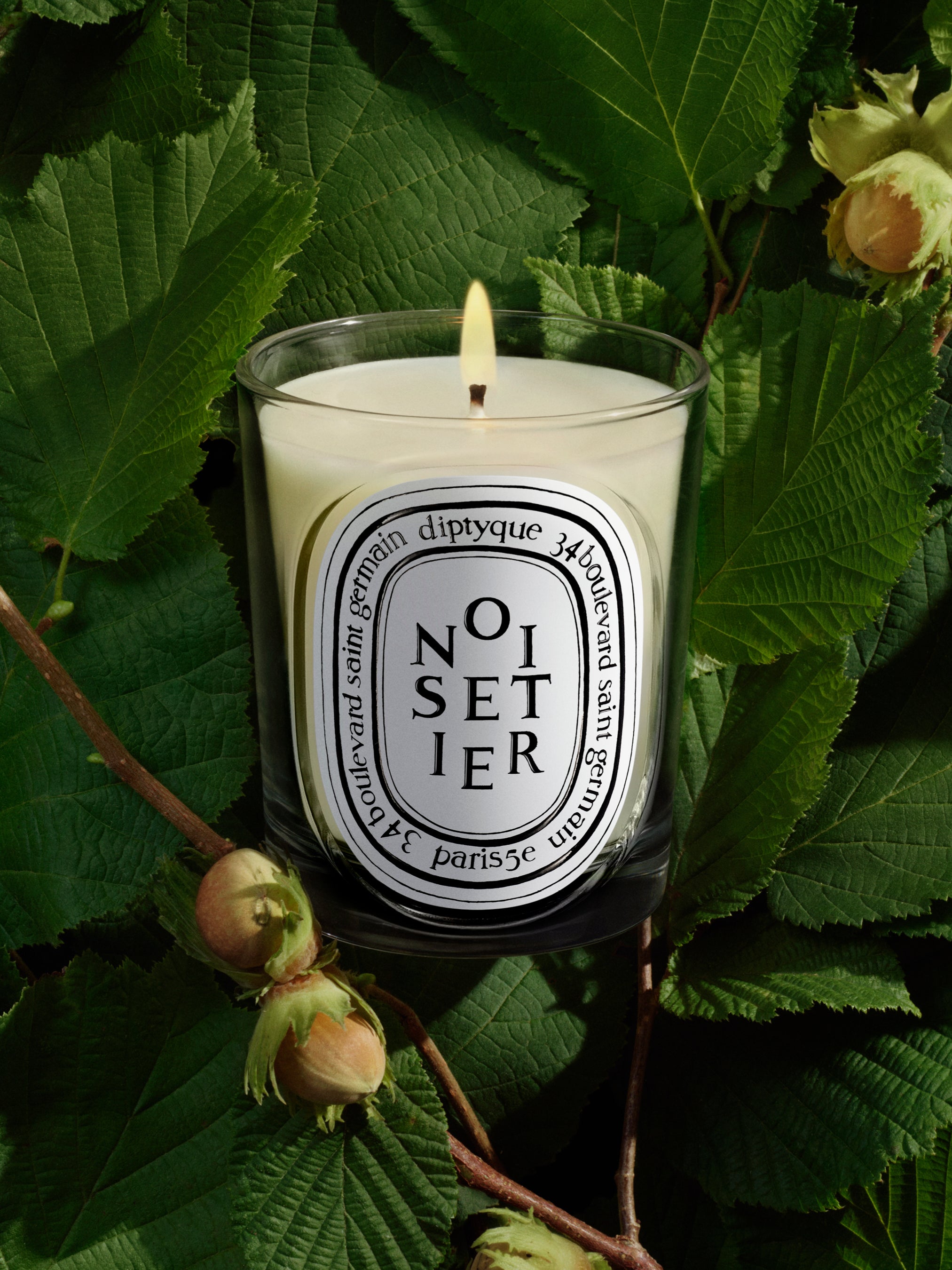 Diptyque Citrouille Pumpkin Candle | Autumn Scent