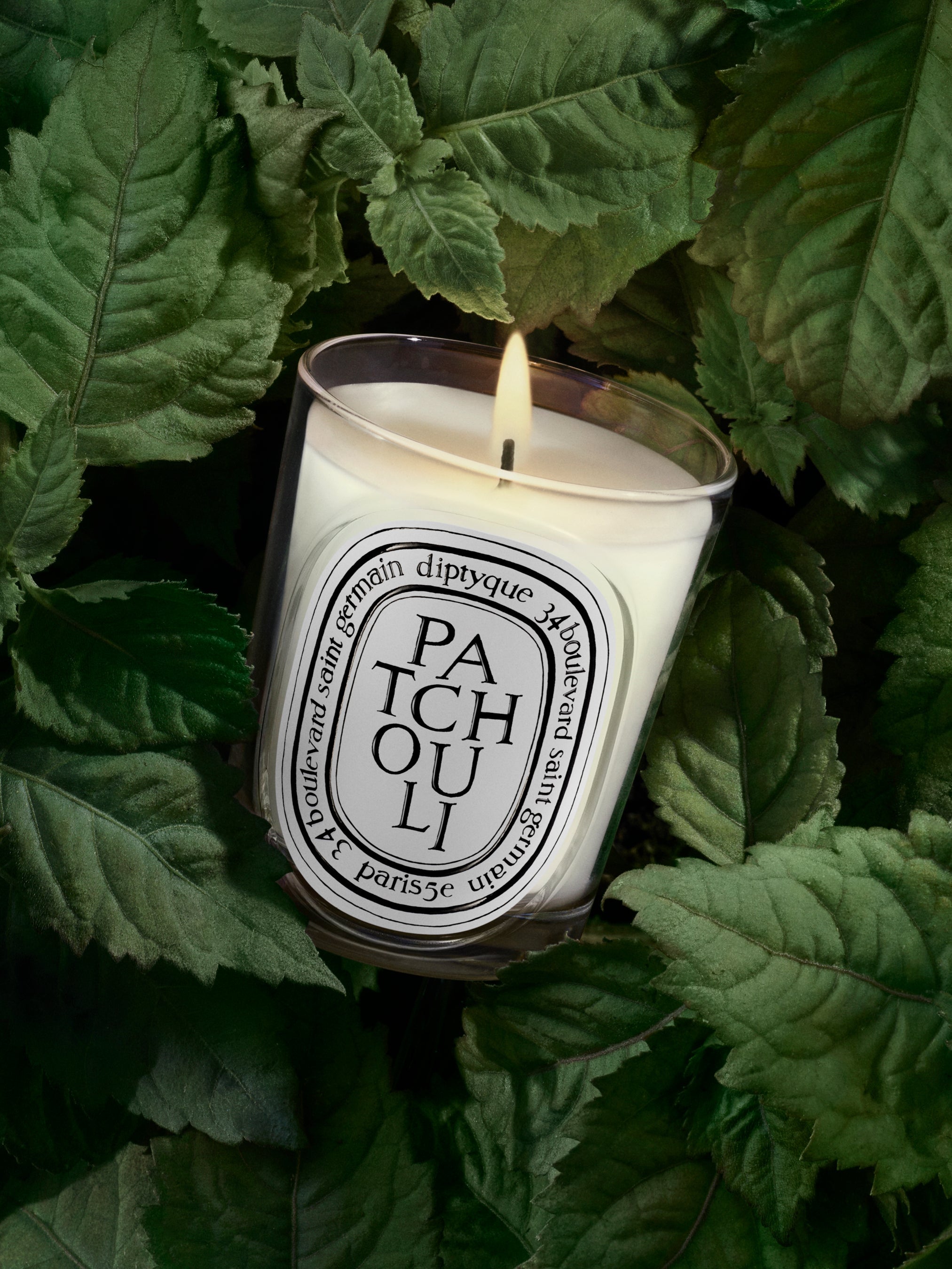 Diptyque Citrouille Pumpkin Candle | Autumn Scent
