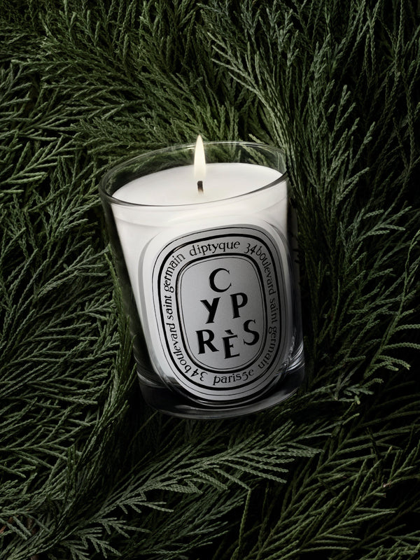 Cyprès (Cypress) - Classic Candle