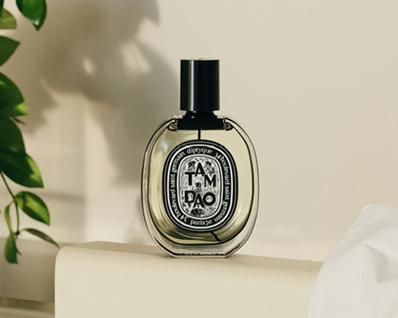 34 boulevard Saint Germain - Room Spray – Diptyque