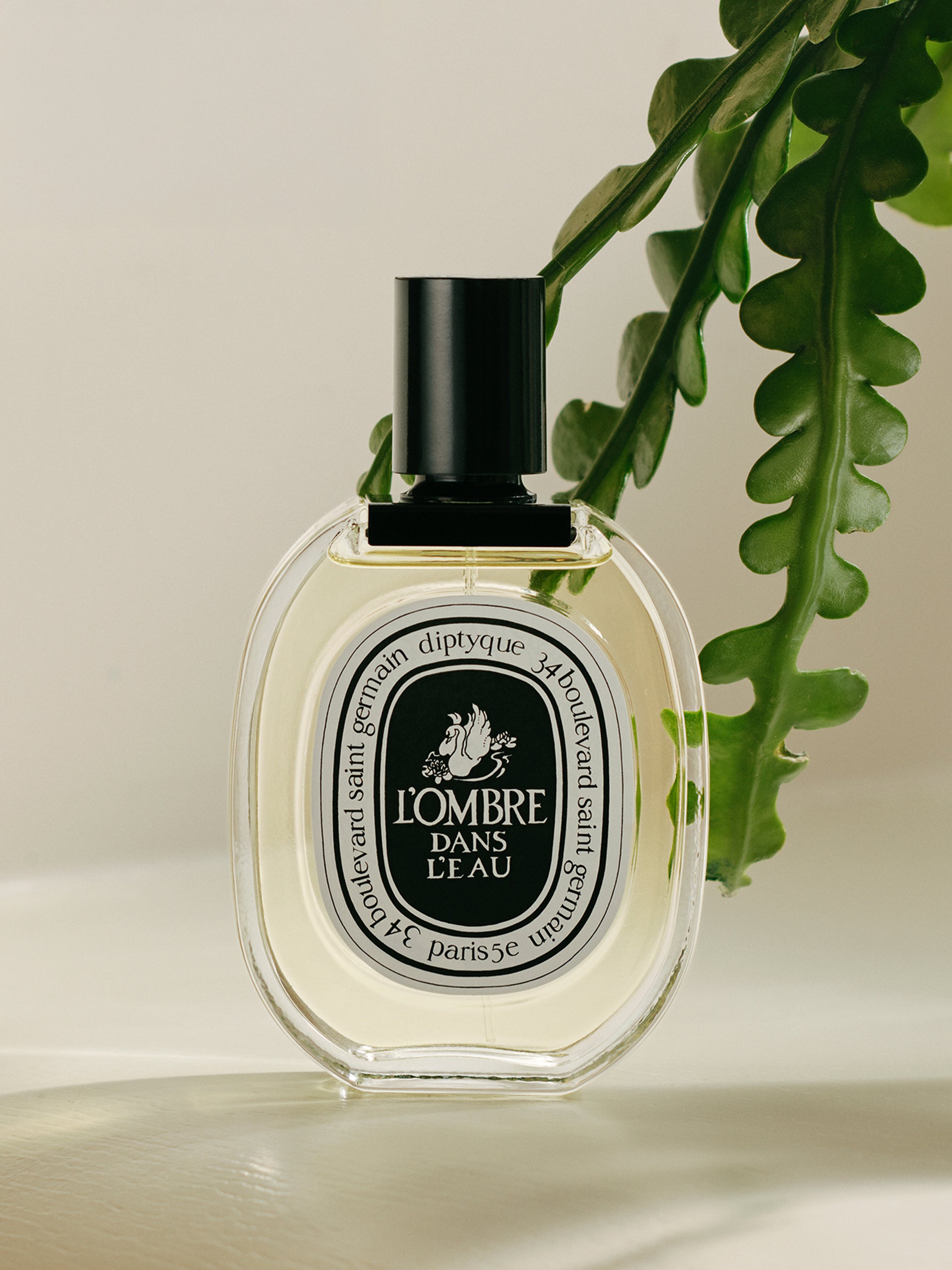 Diptyque L'Ombre Dans L'Eau ソリッドパフューム L'Ombre dans l'Eau - Eau de toilette – Diptyque