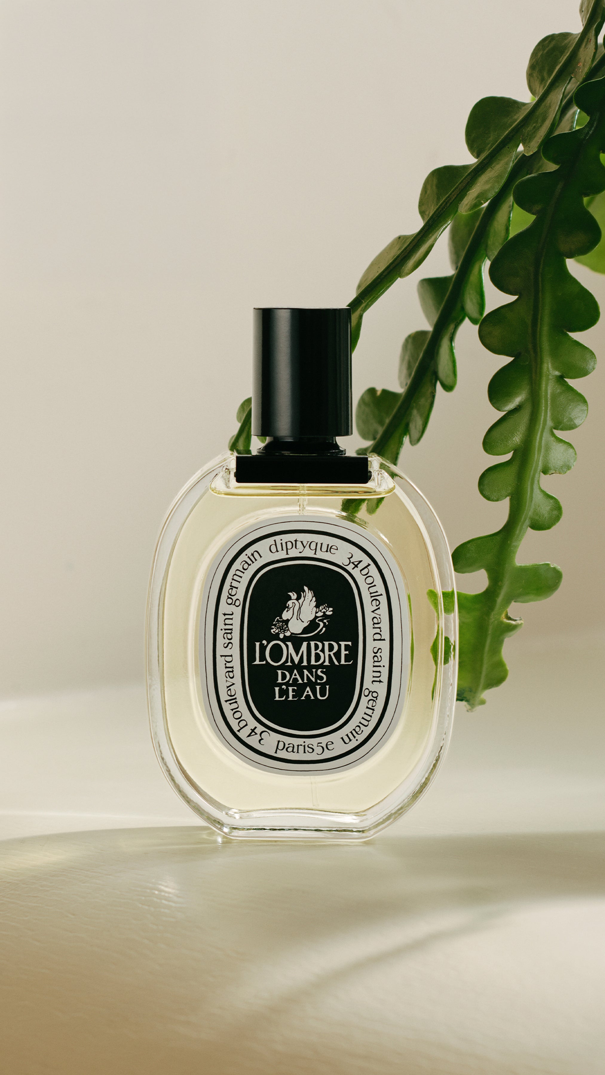 Diptyque L'Ombre Dans L'Eau ソリッドパフューム LIFESTYLE_VISUEL_EDT-L-OMBRE-