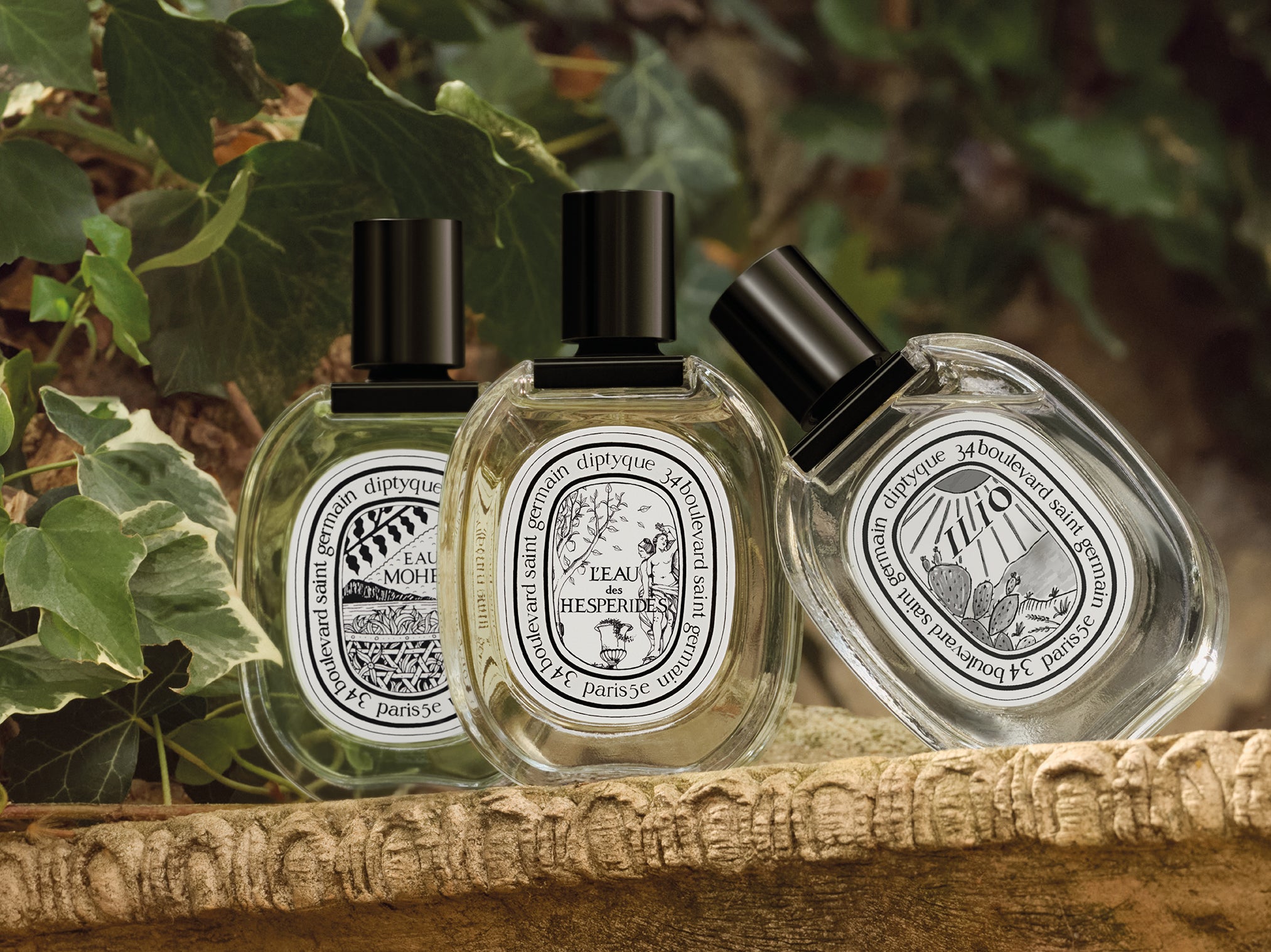 Lunamaris – Diptyque