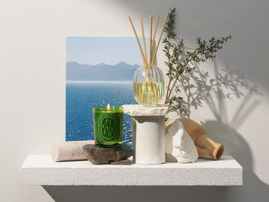 The Figuier (Fig Tree) collection