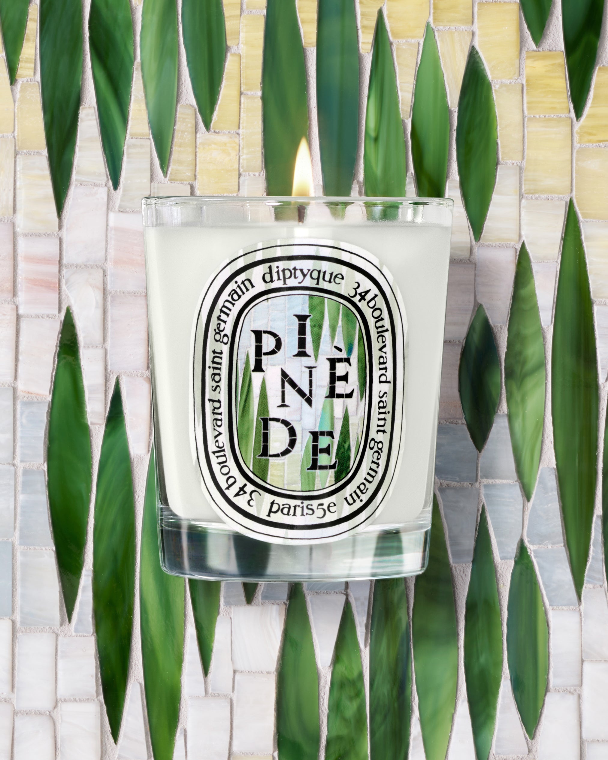Cyprès (Cypress) - Small Candle – Diptyque