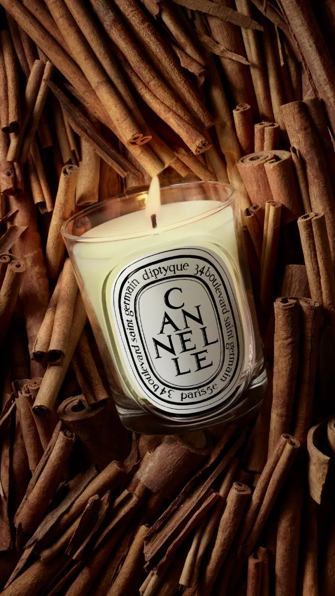 Cannelle (Cinnamon) - Classic Candle – Diptyque Cannelle (Cinnamon) - Classic Candle – Diptyque
