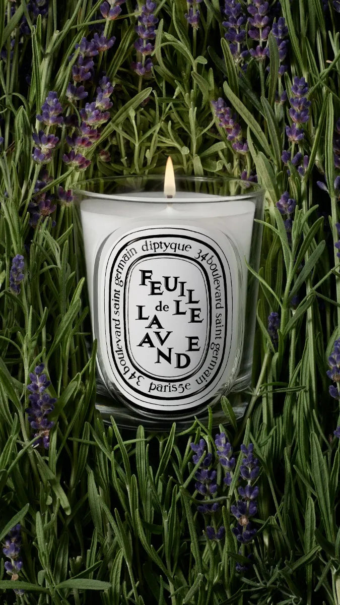 Feuille de Lavande (Lavender Leaf) - Classic Candle – Diptyque Feuille de Lavande (Lavender Leaf) - Classic Candle – Diptyque