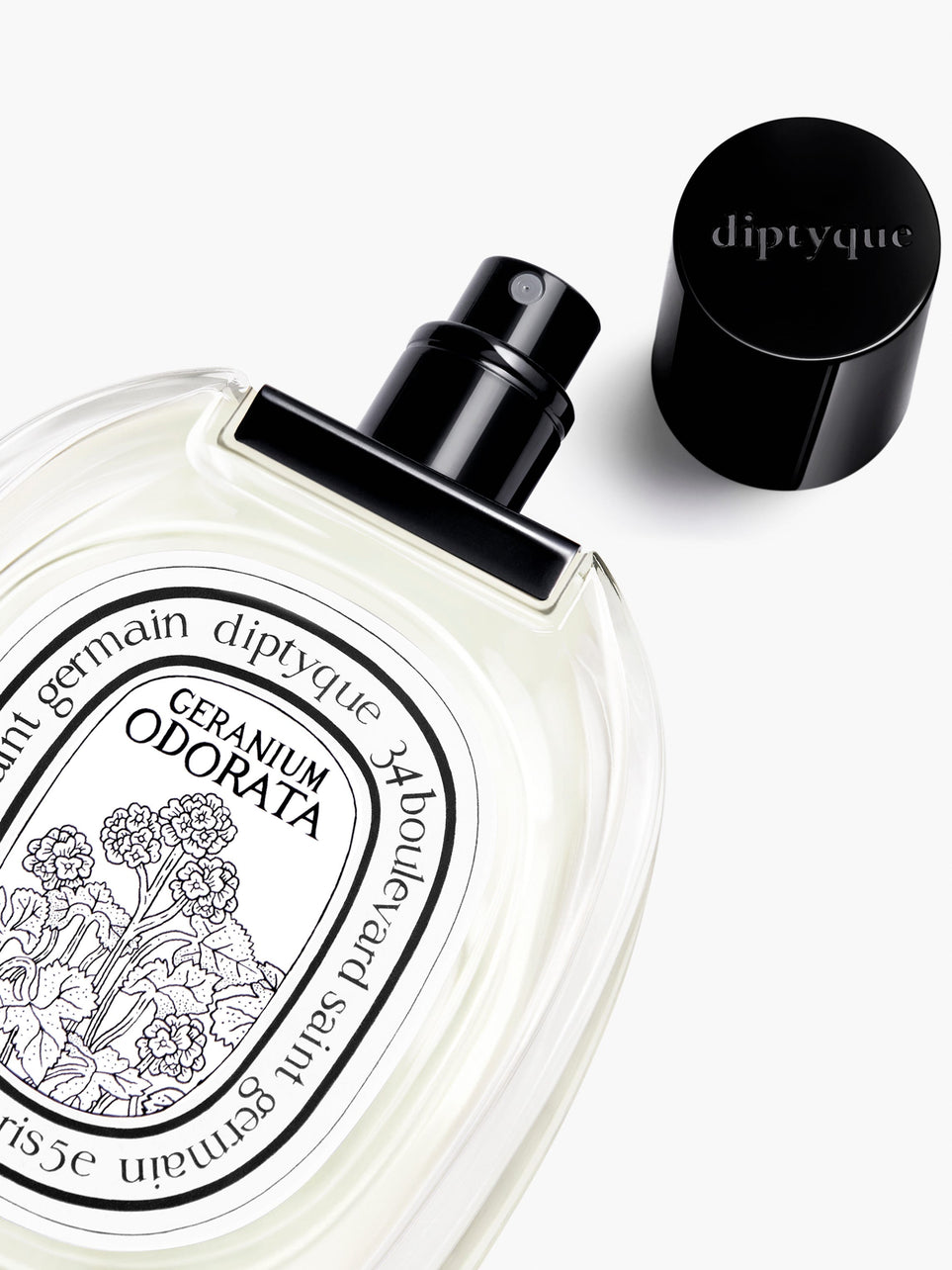 Geranium Odorata - Eau de toilette