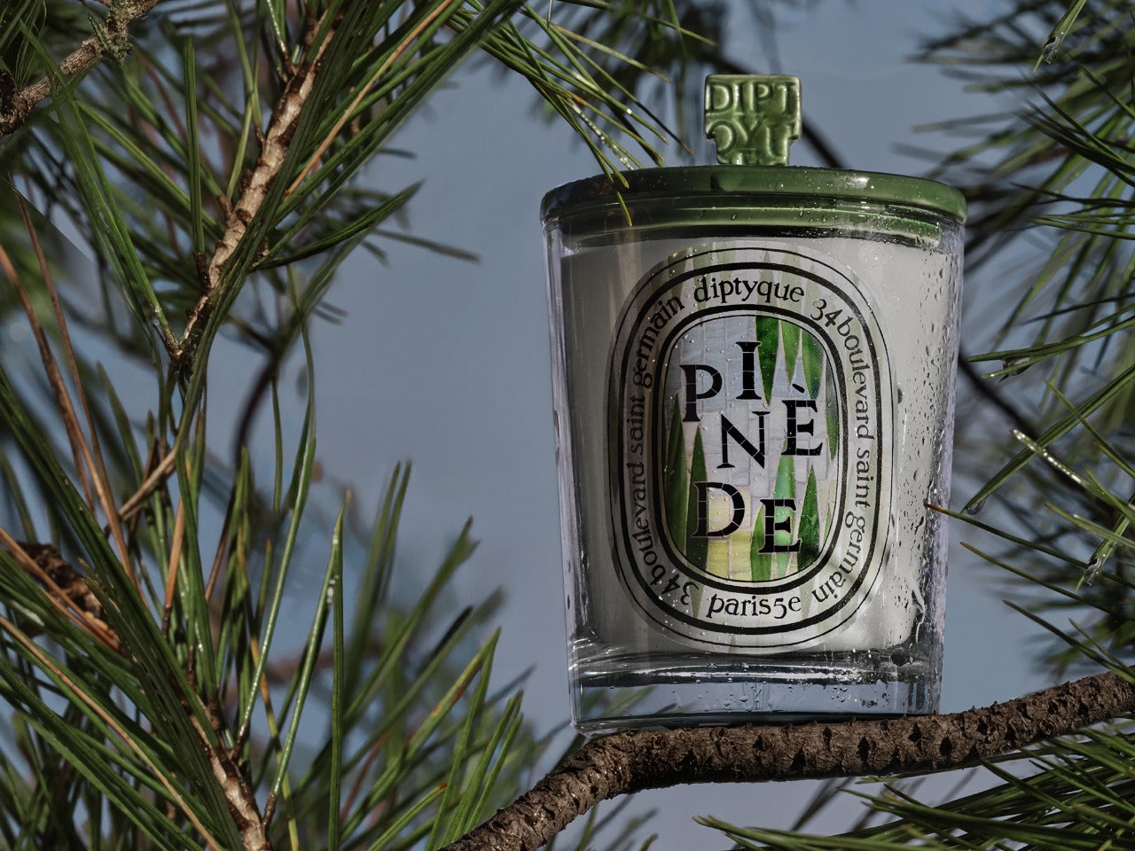 A new scent for summer