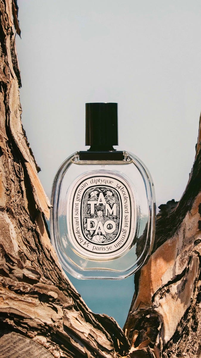 diptyque Tam Dao EDT 50ml 90%〜 Tam Dao - Eau de toilette – Diptyque